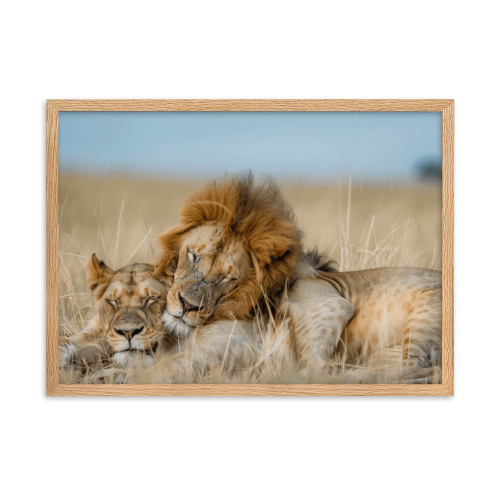 Tableau Lion Et Lionne