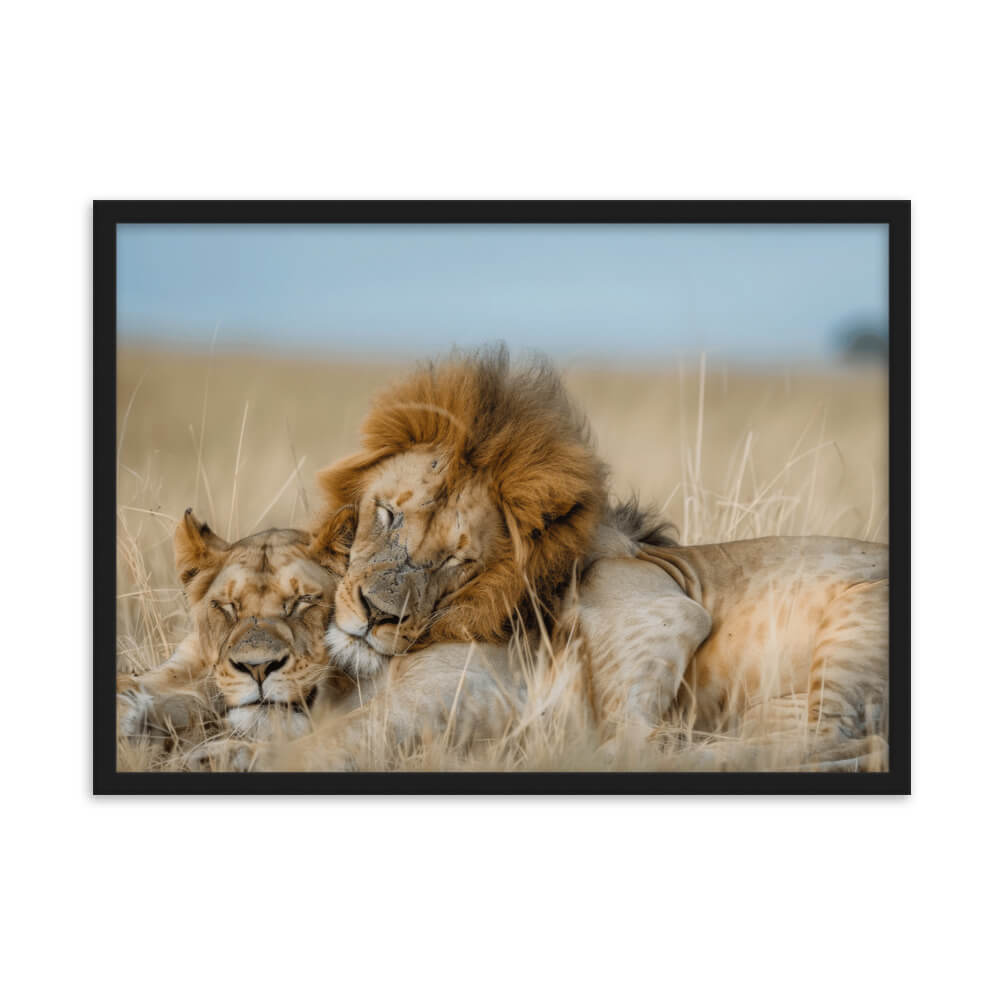 Tableau lion et lionne