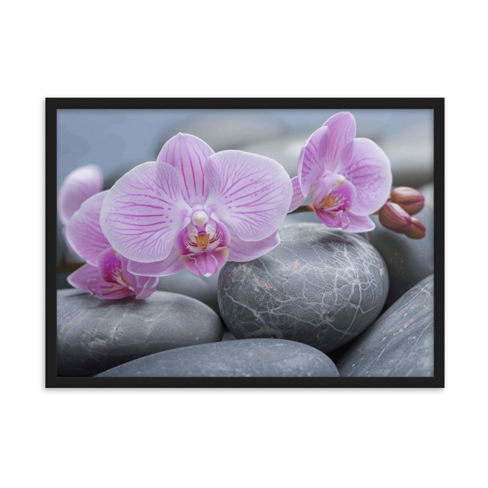 Tableau orchidee rose zen