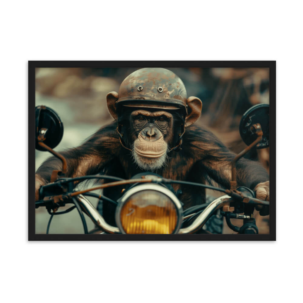 Tableau singe moto