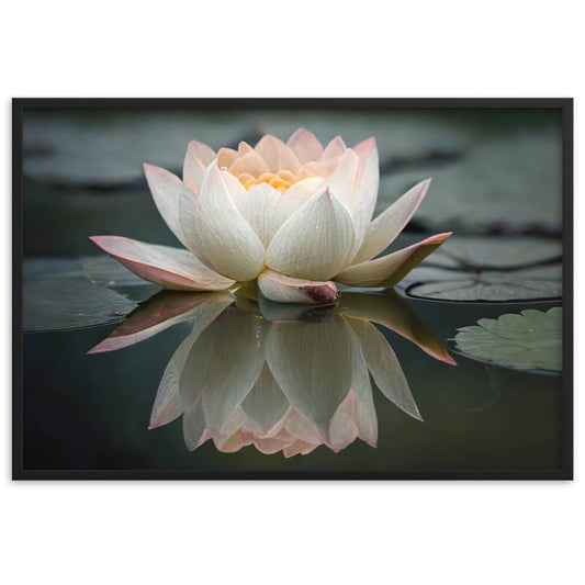 Tableau zen fleur de lotus