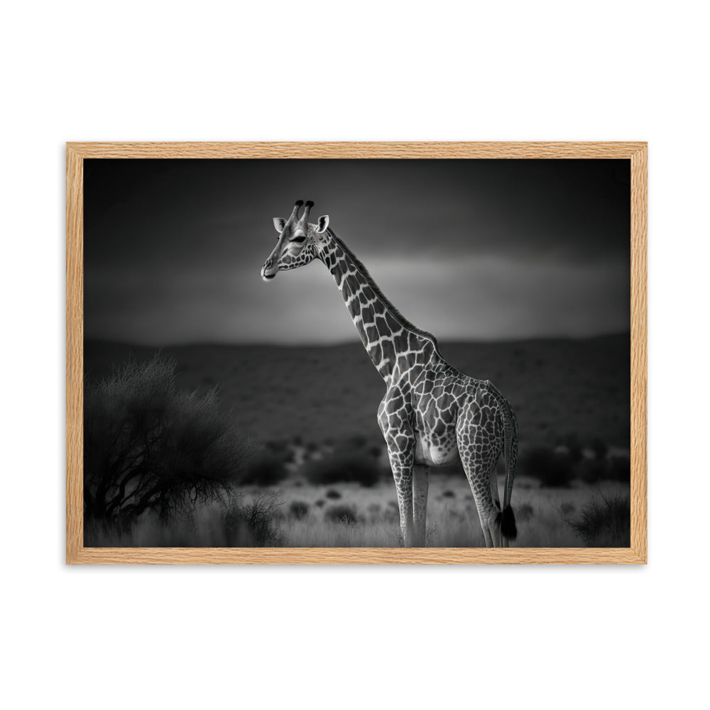 Tableau Noir Et Blanc Girafe