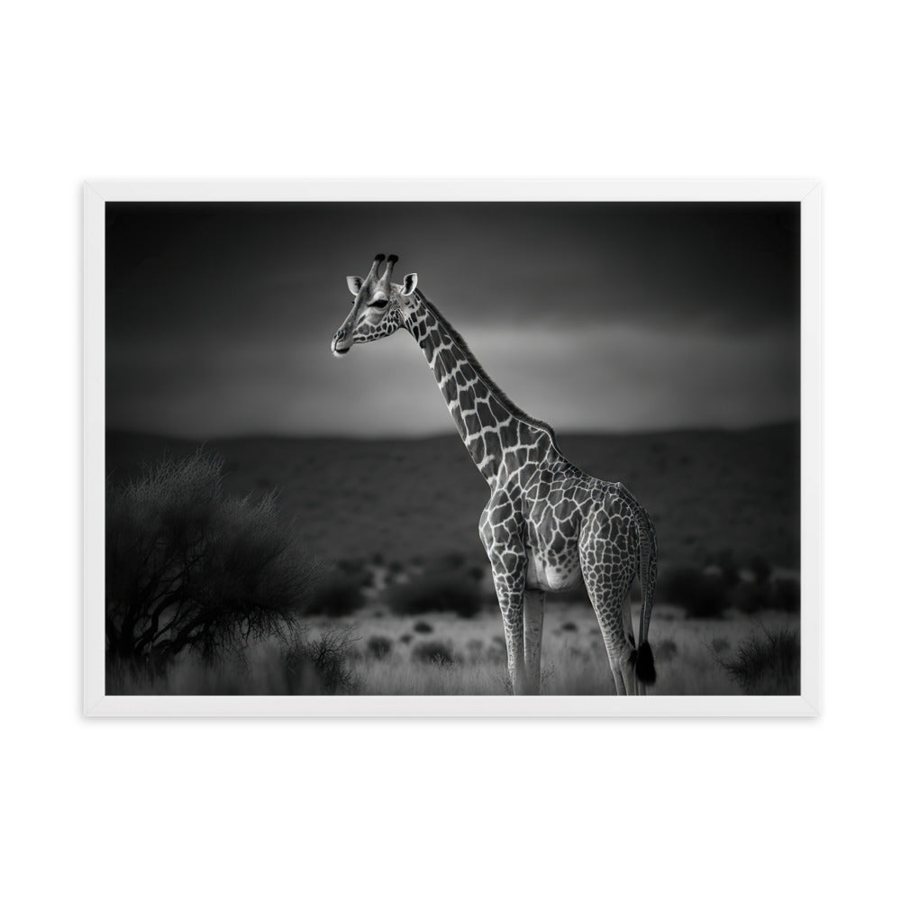 Tableau Noir Et Blanc Girafe