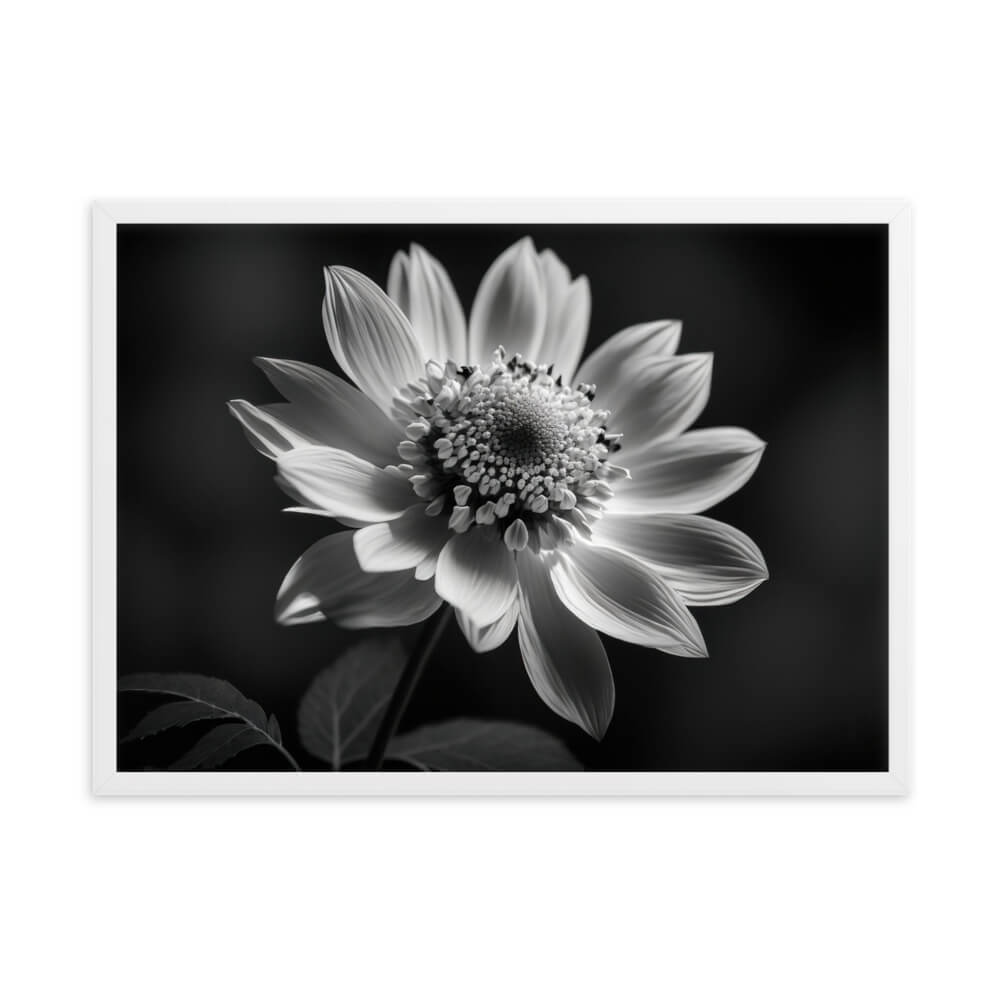 Tableau Noir Et Blanc Fleur