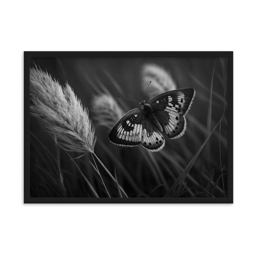 Tableau Noir Et Blanc Papillon